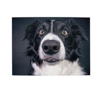 Border Collie et Chien, Puzzle de 500 pièces pour Adultes - Puzzle en Bois pour Adultes et Personnes âgées