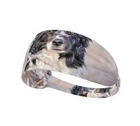 Border Collie Hiver Neige Blanc Noir Chiens,Bandeau de Sport Unisexe, Bandeau élastique Multi-usages pour Cheveux