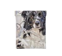 Border Collie Hiver Neige Blanche Chiens Noirs, Sac de Rangement pour Femmes, Portefeuille supérieur à Presser, Petit Porte-Monnaie, Pochette de Changement