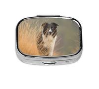 Border Collie Lawn Pets, bordure noire et blanche, pilulier à 2 compartiments, organiseur portable