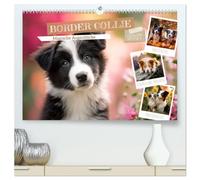 Border Collie - Magische Augenblicke (hochwertiger Premium Wandkalender 2027 DIN A2 quer), Kunstdruck in Hochglanz: Szenen voller Emotionen und Lebensfreude