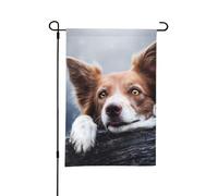 Border Collie marron Bokeh Dieu aux yeux jaunes, 12 x 18 pouces, drapeau de jardin d'été double face pour l'extérieur