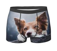 Border Collie Marron, Motif Bokeh, Yeux Jaunes, Boxer pour Homme, Confortable, Doux et Extensible