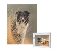 Border Collie Pelouse Animaux Bordure Noire et Blanche,Puzzle Familial en Bois de 500 pièces pour Adultes et Adolescents