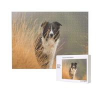 Border Collie Pelouse Animaux Bordure Noire et Blanche,Puzzle Familial en Bois de 500 pièces pour Adultes et Adolescents, décoration d'intérieur