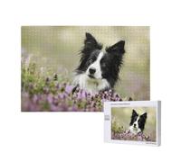 Border Collie Pelouse Animaux de Compagnie Border Collie Noirs,Puzzle Familial en Bois de 1 000 pièces pour Adultes et Adolescents, décoration d'intérieur