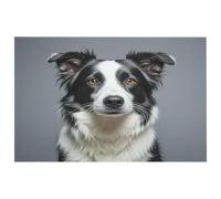 Border Collie Petit tapis lavable avec envers en caoutchouc antidérapant pour cuisine, chambre à coucher, salle de bain, décoration de sol