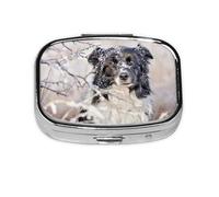 Border Collie Pilulier d'hiver à 2 compartiments Motif chiens Blanc Neige Noir