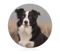 Border Collie Planche à découper ronde en verre trempé pour pizza, légumes, fruits, fromage et charcuterie