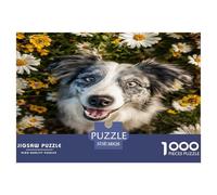 Border Collie Puzzle 1000 Pièces pour Adults Adolescents Et Enfants Puzzles Éducatifs Puzzle 38x26cm/1000pcs