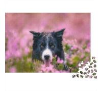 Border Collie Puzzle Adulte 1000 Pièces Éducatif Challenge Toy Artisanat Cadeau Famille Décoration Intérieure Adultes & Enfants des 14 Ans 1000pcs (75x50cm)