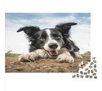 Border Collie Puzzles De Cute Puppy 1000 PièCes pour Adultes Enfants, Adultes Et Enfants Dès 14 Ans Puzzle en Bois 1000pcs (75x50cm)