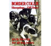 Border Collie Sheepdogs - Off Duty [Import anglais]