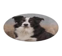 Border Collie Tapis rond doux et absorbant antidérapant pour chambre à coucher, salon, décoration d'intérieur - 60 x 60 cm