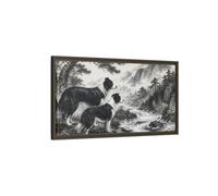 Border Collies Pets By Mountain Stream Framed Canvas Print Wall Art - Living Room Decor, Above Sofa 32×16 inch (80×40 cm) - Horizontal/Espresso / 1.25 inch (3 cm)