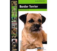 Border Terrier