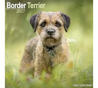 Border Terrier 2027 Calendar | Square Wall Calendar | Dog Breed Gift | Plastic Free Packaging | by Avonside Publishing