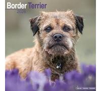 Border Terrier Calendar 2026 Square Dog Breed Wall Calendar - 16 Month