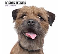 Border Terrier Calendrier moderne 2026
