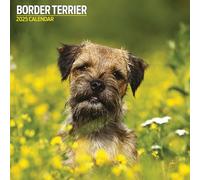 Border Terrier Calendrier traditionnel 2025
