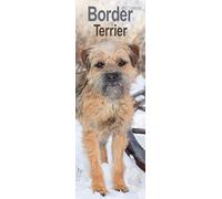 Border Terrier Slim