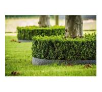 BORDO FLESSIBILE ORNAMENTALE ROCKS M.10 - H.12CM GRIGIO VERDEMAX