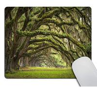 Bords Cousus Tapis de Souris Gaming Oaks Avenue Charleston Plantation Live Oaks Souris de Gaming Mousepad 25x30cm pour Claviers,Les capteurs de Jeu,Joueurs Professionnels