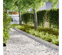 Bords De Gazon Vidaxl 20 Pcs 100x0,5x20 Cm Acier Inoxydable