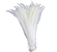 Bordure à franges en plumes, Paquet de 50 plumes queue coque coq blanc 10-18 pouces(25-30CM 10-12inch)