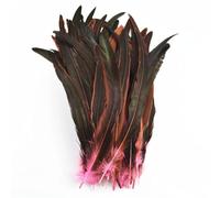 Bordure à franges en plumes, Plumes de coq multicolores, 100 pièces, 25-35cm, décoration artisanale(Pink,25-30cm 10-12inch)