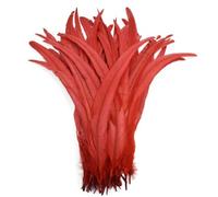 Bordure à franges en plumes, Plumes de coq multicolores, 50 pièces, 25-45cm, décoration DIY, matériaux for attacher les mouches(Red,16-18inch 40-45cm)
