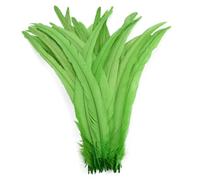 Bordure à franges en plumes, Plumes de coq multicolores, 50 pièces, 25-45cm, décoration DIY, matériaux for attacher les mouches(Apple Gn,12-14inch 30-35cm)