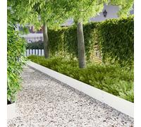 Bordure de Pelouse 20 pcs 100 x 25 cm Acier Blanc | Flexible, Revêtement thermolaqué, Résiste aux intempéries, Pour parterres et allées