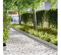 vidaXL Bordure de Pelouse 10 pcs Argent 100 x 0.05 x 20 cm, Jardin et terrasse, séparateur de pelouse Moderne, Bord de Chemin, barrière extérieure, Touche déco