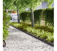 Bordures de Jardin 10 pcs Noires 100x0.5x15 cm Acier