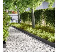 Bordures de Jardin 10 pcs Noires 100x0.5x20 cm Fer