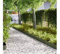 Bordures de jardin 10 pcs Vert olive 100x0.5x20 cm Acier
