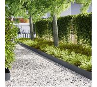 Bordures de Jardin 20 pcs Anthracite 100x0,5x20 cm Plastique