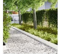 Bordures de jardin 50 pcs Blanc 100x0,5x20 cm Acier