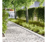 Bordures de jardin vidaXL 20 pcs Blanc 100x0,5x15 cm Acier