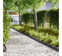 Bordures de jardin vidaXL 20 pcs Noir 100x0,5x15 cm Acier