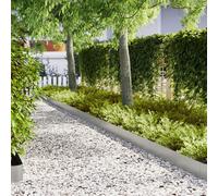 bordures de jardin vidaXL 20 pièces 100x0,5x20 cm Acier galvanisé