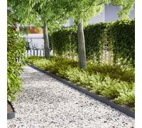 bordures de jardin vidaXL 50 pcs anthracite 100x0,5x15 cm acier