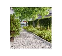 vidaXL Bordures de pelouse 10 pcs 10x103 cm Acier Inoxydable, Bordure de Jardin, Bordure de lit de Jardin, Bordure de Paysage