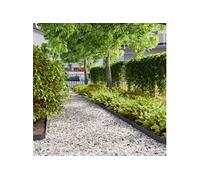 Bordures de pelouse 10 pcs noir 10x103 cm acier laminé à froid, bordure de jardin, bordure de lit de jardin, bordure 860130