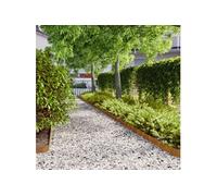 vidaXL Bordures de pelouse 50 pièces 10x103 cm Acier corten flexible