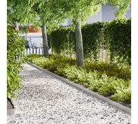 bordures de jardin vidaXL 50 pcs anthracite 100x0,5x15 cm acier