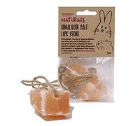 Boredom Breaker NATURALS Himalayan Salt Lick Stone