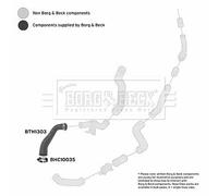 BORG & BECK BTH1303 Gaine de suralimentation pour FORD