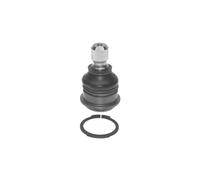 BORG & BECK Rotule de suspension BBJ5550